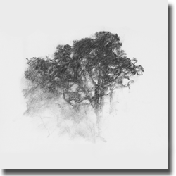 AGAMI - Alexandre Hollan AGAMI - Alexandre Hollan